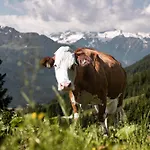 Wildkogel - Wildkogel 4*