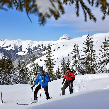 Ξενοδοχείο με διαμερίσματα Wildkogel - Wildkogel