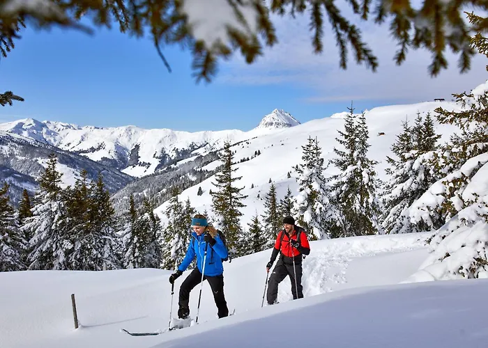 Aparthotel Wildkogel - Wildkogel