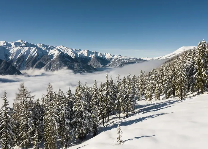 Wildkogel - Wildkogel Aparthotel