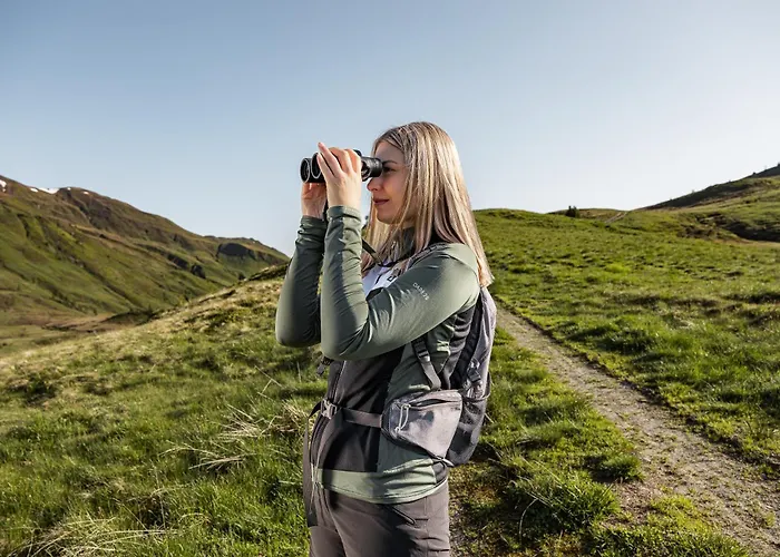 Wildkogel - Wildkogel 4*